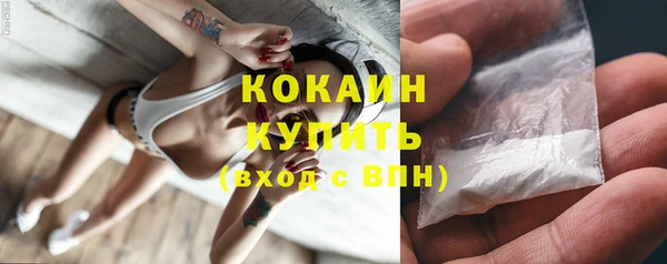 твердый Алексин