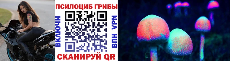 цены наркотик  Цимлянск  Псилоцибиновые грибы мицелий 